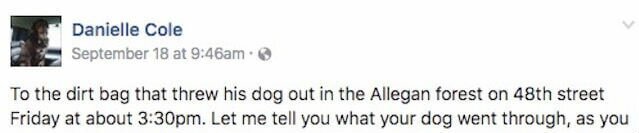 facebook message dumped dog