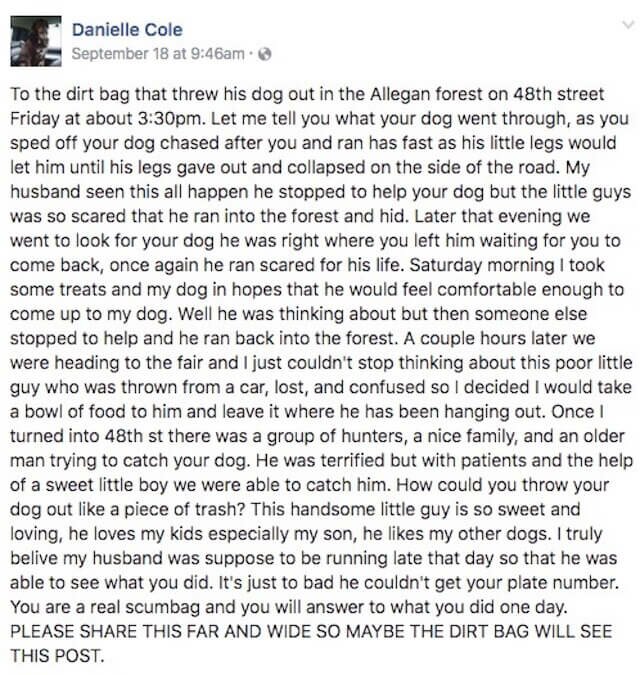 facebook message dumped dog