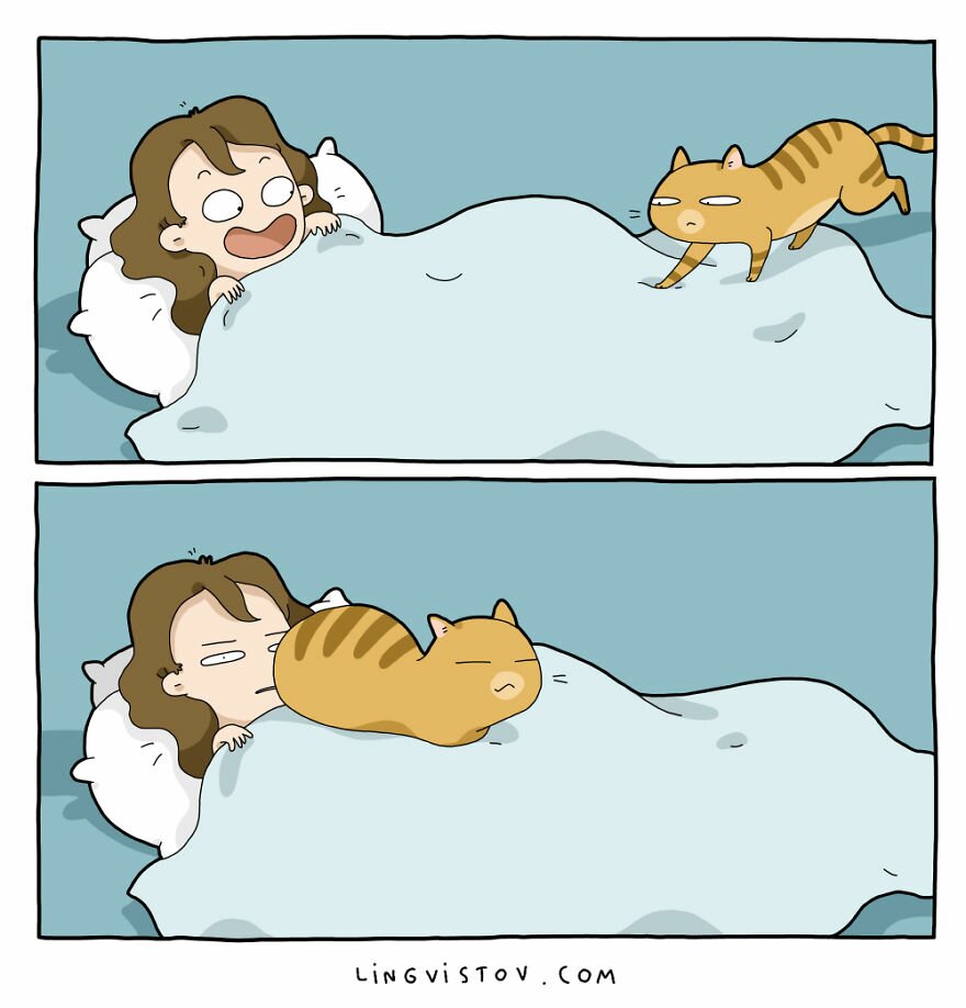 lingvistov cat comics