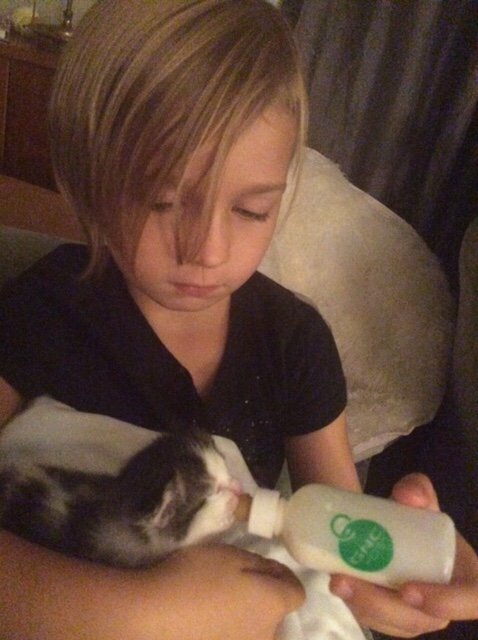 little girl volunteers at shelter