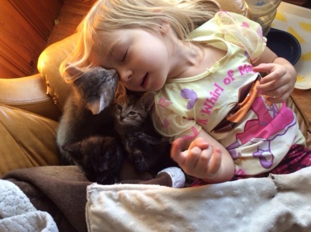 little girl volunteers at shelter