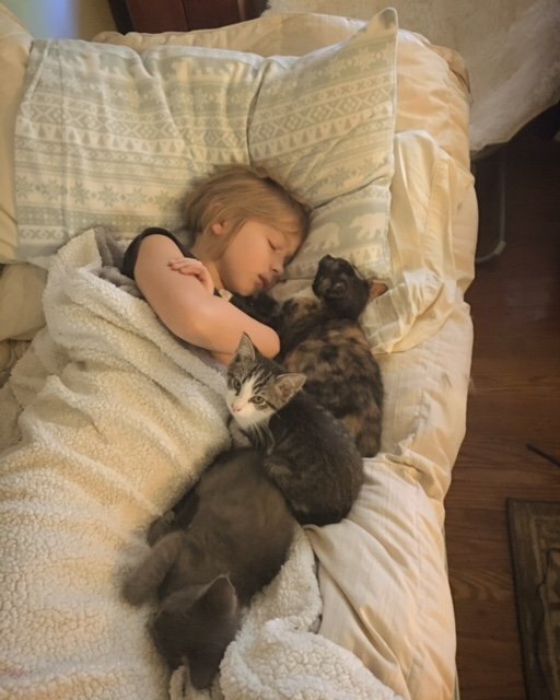 little girl volunteers at shelter
