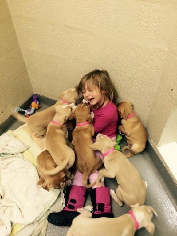 little girl volunteers at shelter