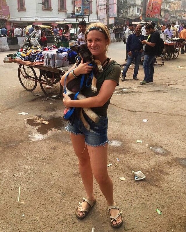 tourist rescues stray puppy