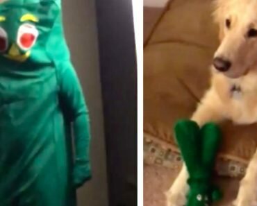 gumby comes to life